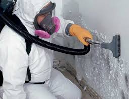 Professional Mold Remediation in University Park, TX